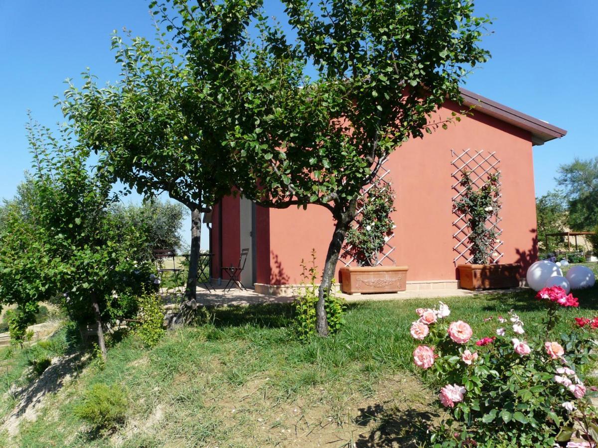 L'Antigo Granaro Guest House Agugliano Bagian luar foto